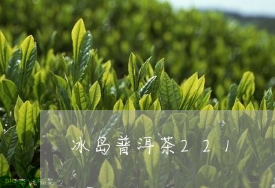 冰岛普洱茶221/2023041360819