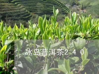 冰岛普洱茶240/2023041369594