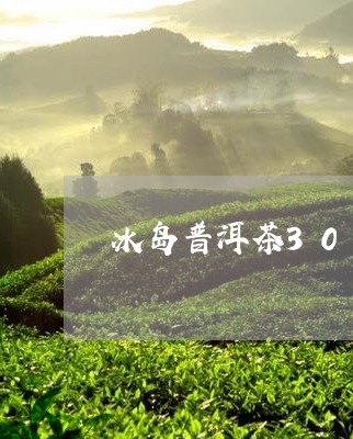 冰岛普洱茶30克/2023031734028