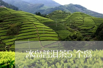 冰岛普洱茶5个岛/2023041378471