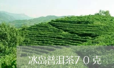 冰岛普洱茶70克/2023041217361