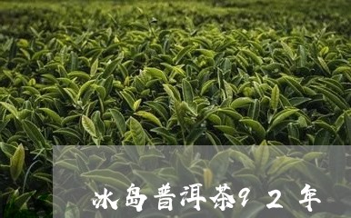 冰岛普洱茶92年/2023031773946