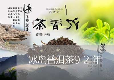 冰岛普洱茶92年/2023041340371