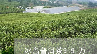 冰岛普洱茶99万/2023041308516