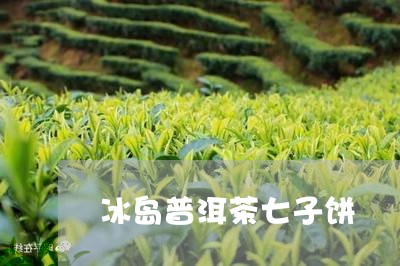 冰岛普洱茶七子饼/2023031738481