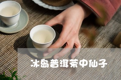 冰岛普洱茶中仙子/2023031724049