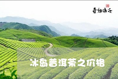 冰岛普洱茶之价格/2023041256039