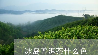 冰岛普洱茶什么色/2023041305148