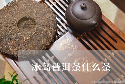 冰岛普洱茶什么茶/2023041325269