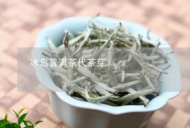 冰岛普洱茶代茶芽/2023031746060