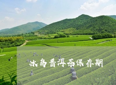 冰岛普洱茶保存期/2023041383351