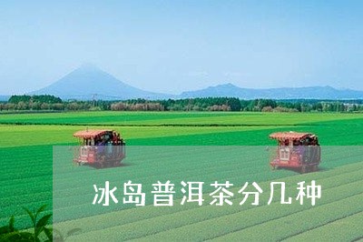 冰岛普洱茶分几种/2023041360591