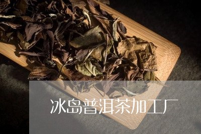 冰岛普洱茶加工厂/2023031775247