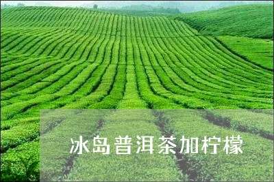 冰岛普洱茶加柠檬/2023031788604