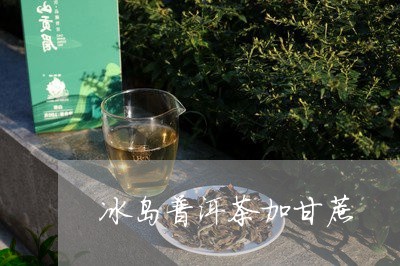 冰岛普洱茶加甘蔗/2023041391696