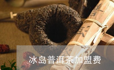 冰岛普洱茶加盟费/2023041362713