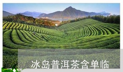 冰岛普洱茶含单临/2023031786271