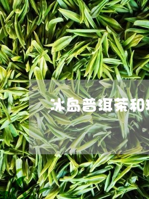 冰岛普洱茶和班章/2023031705159