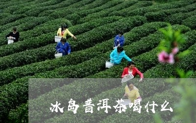 冰岛普洱茶喝什么/2023031754969