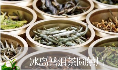 冰岛普洱茶圆薄片/2023041360704