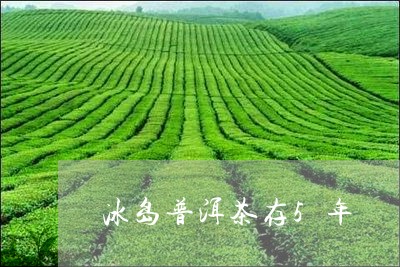 冰岛普洱茶存5年/2023031795037