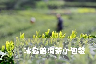 冰岛普洱茶小包装/2023031726281