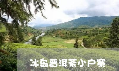 冰岛普洱茶小户寨/2023041262825