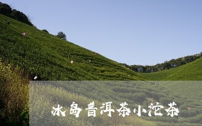 冰岛普洱茶小沱茶/2023041280481