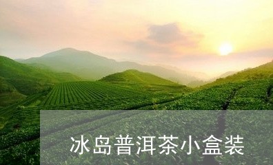 冰岛普洱茶小盒装/2023031777270