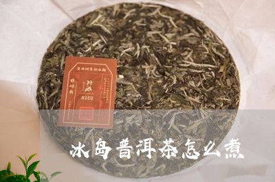 冰岛普洱茶怎么煮/2023031793037