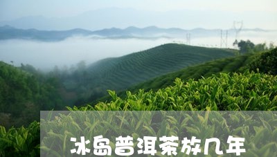 冰岛普洱茶放几年/2023031751817