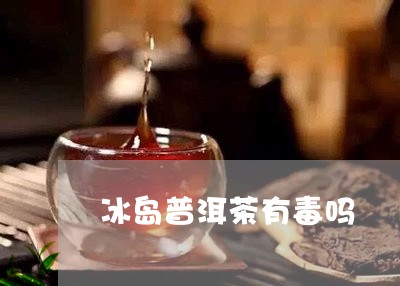 冰岛普洱茶有毒吗/2023041200494