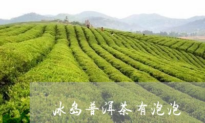 冰岛普洱茶有泡泡/2023041275838