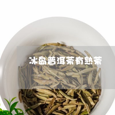 冰岛普洱茶有熟茶/2023031738381