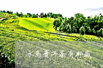 冰岛普洱茶有邦威/2023041309615