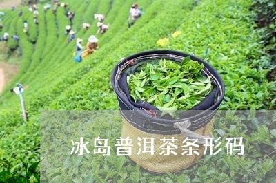 冰岛普洱茶条形码/2023031768389