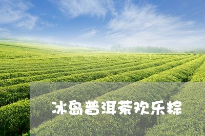 冰岛普洱茶欢乐粽/2023041294946