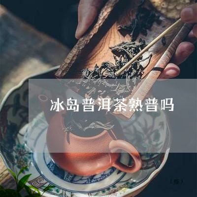 冰岛普洱茶熟普吗/2023031758584