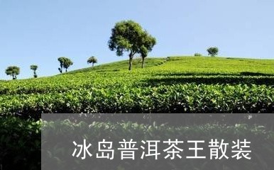 冰岛普洱茶王散装/2023041339471