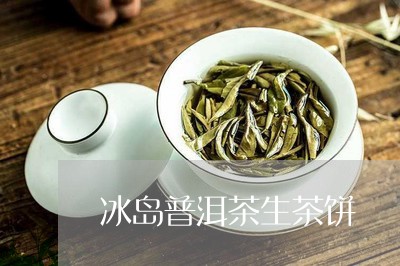 冰岛普洱茶生茶饼/2023031733029