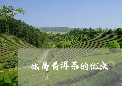 冰岛普洱茶的优点/2023041354161