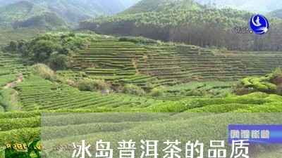 冰岛普洱茶的品质/2023031736040