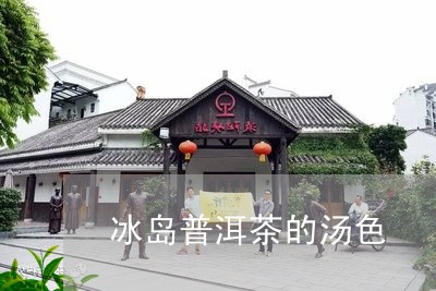 冰岛普洱茶的汤色/2023041307482