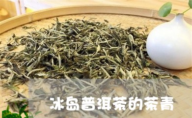 冰岛普洱茶的茶青/2023041336152