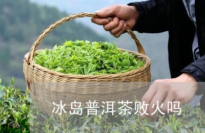 冰岛普洱茶败火吗/2023041381715