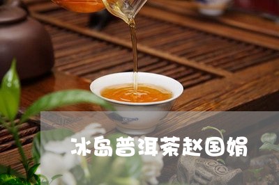 冰岛普洱茶赵国娟/2023041313158