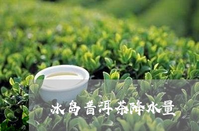 冰岛普洱茶降水量/2023031712726