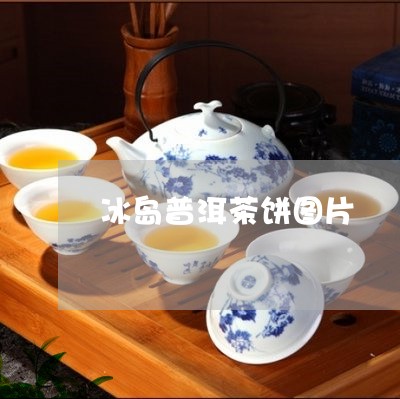 冰岛普洱茶饼图片/2023041249583