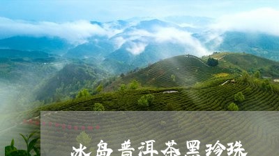 冰岛普洱茶黑珍珠/2023031747359