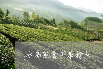 冰岛熟普洱茶特点/2023041465350